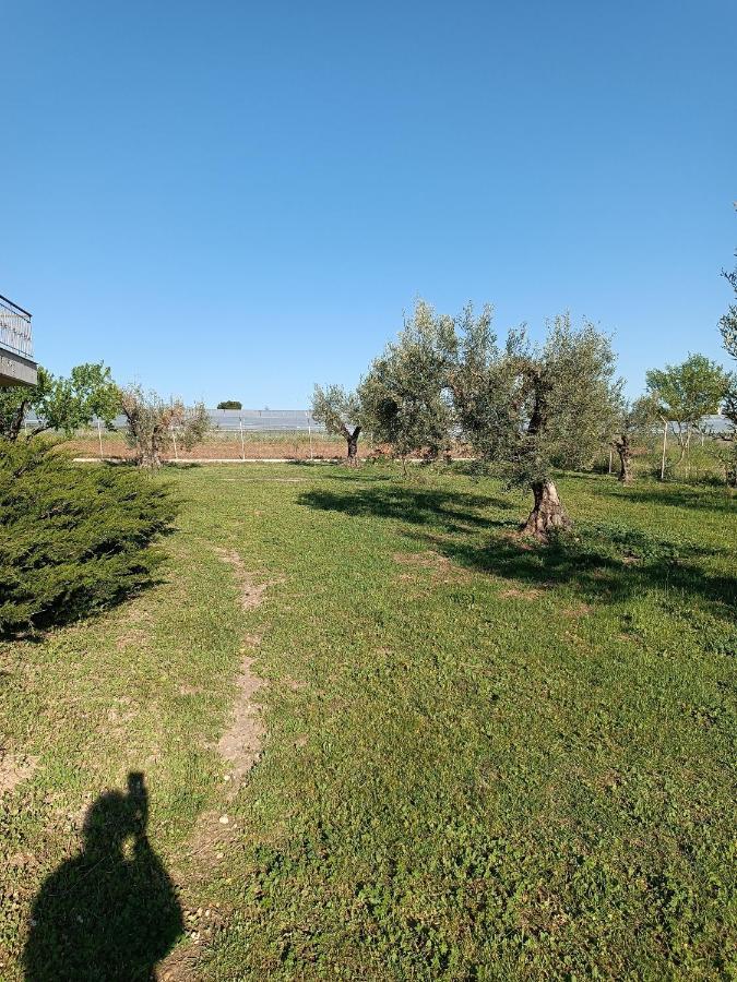 Villa The Secret Olive House Nea Michaniona Exterior foto